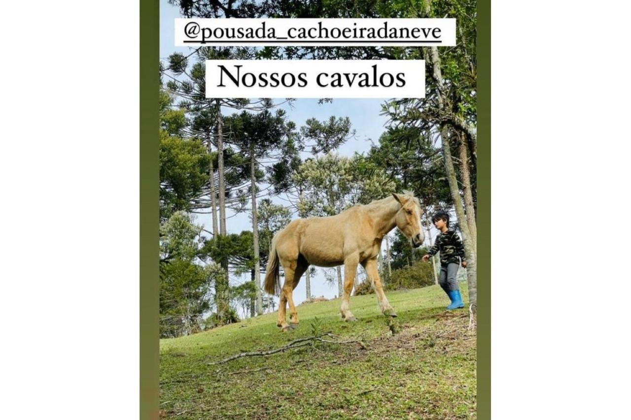 Floresta Secreta- Pousada Cachoeira Da Neve Urubici Buitenkant foto