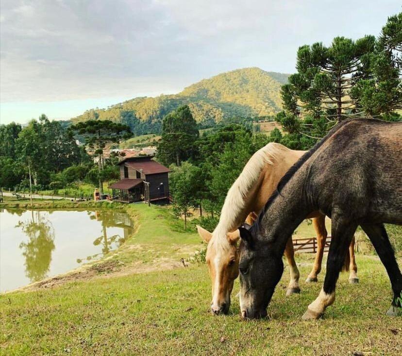 Floresta Secreta- Pousada Cachoeira Da Neve Urubici Buitenkant foto