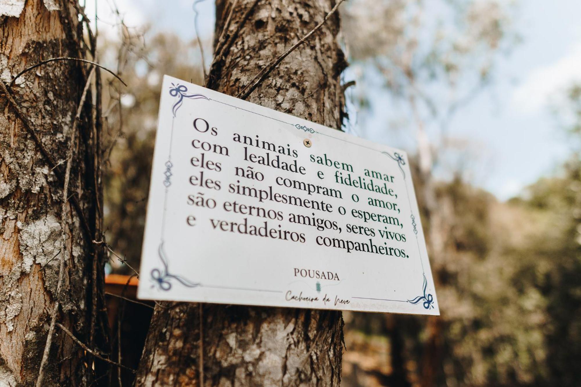 Floresta Secreta- Pousada Cachoeira Da Neve Urubici Buitenkant foto