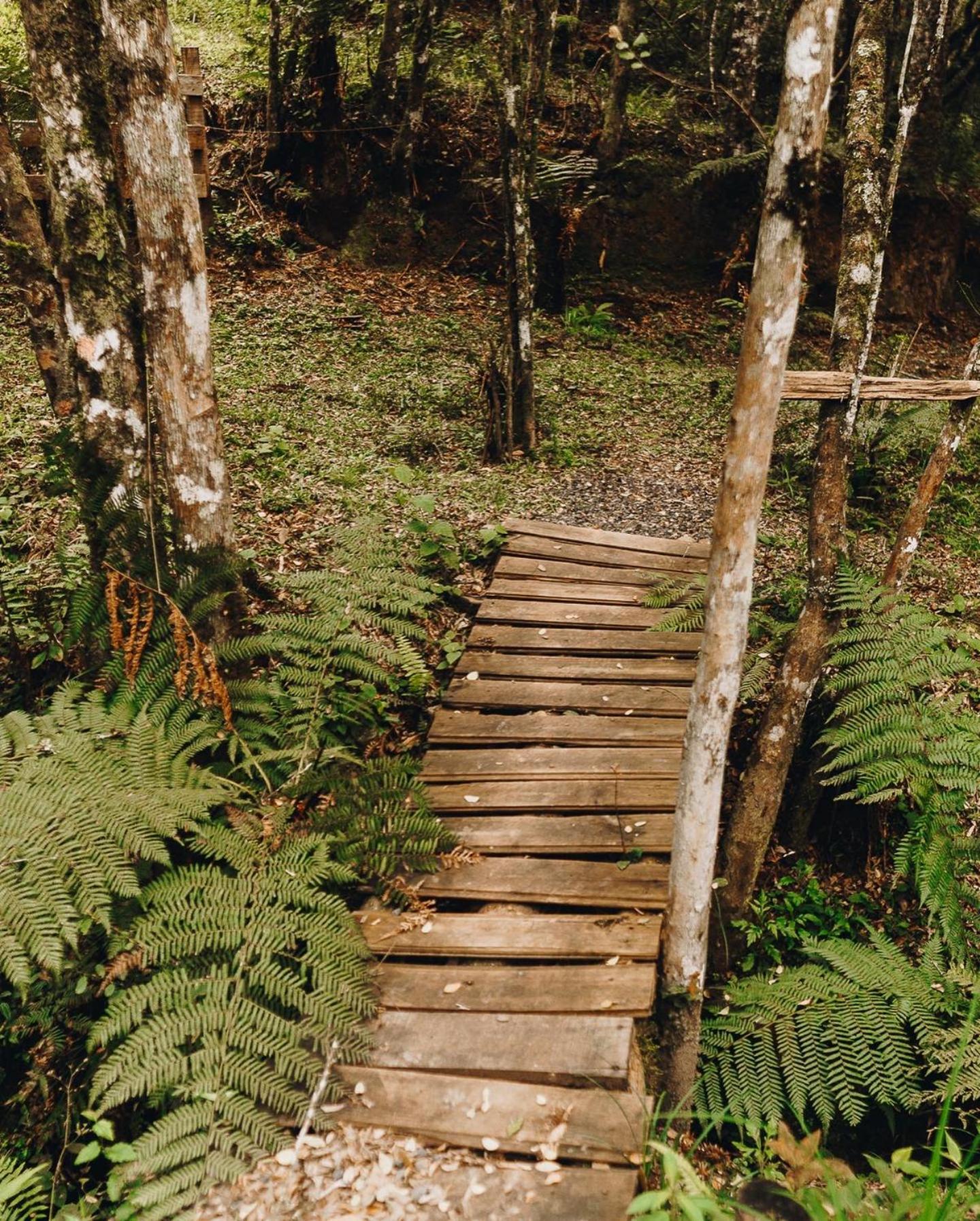 Floresta Secreta- Pousada Cachoeira Da Neve Urubici Buitenkant foto